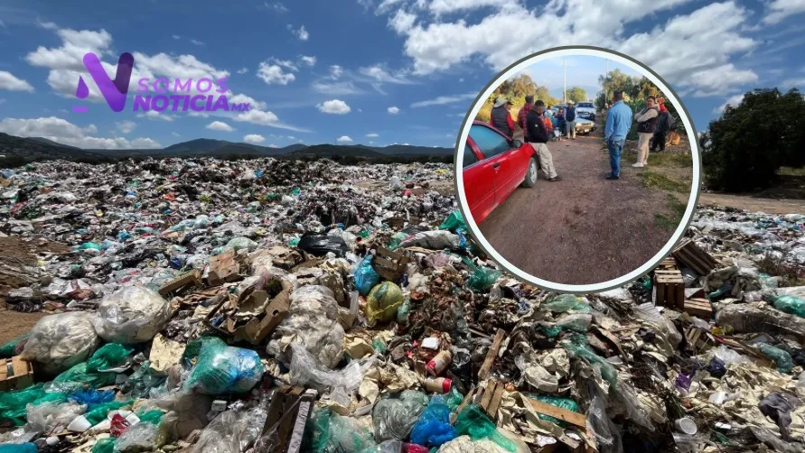 Imagen del artículo