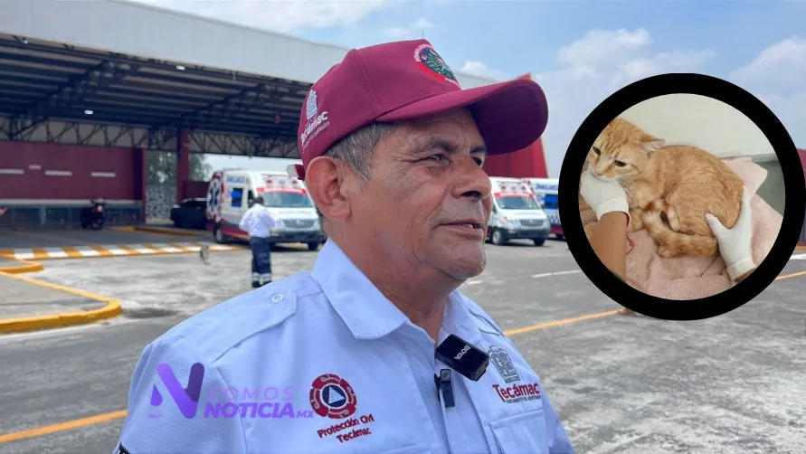 Imagen del artículo