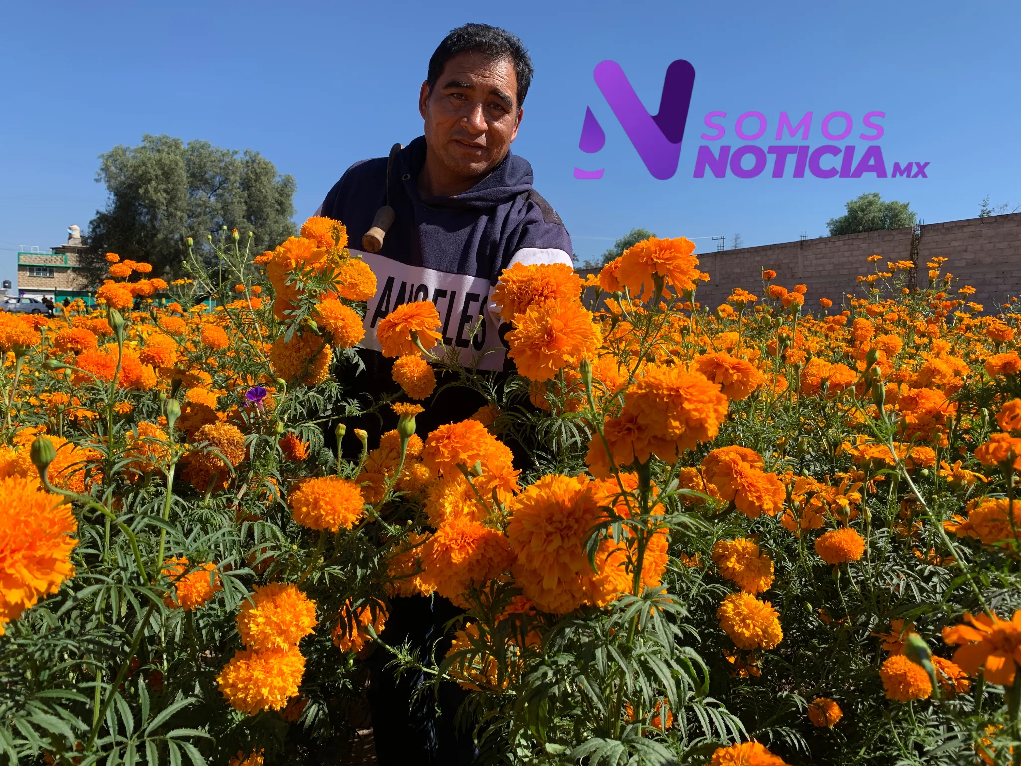 Imagen del artículo