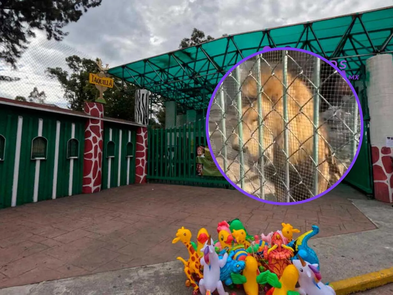 Imagen del artículo