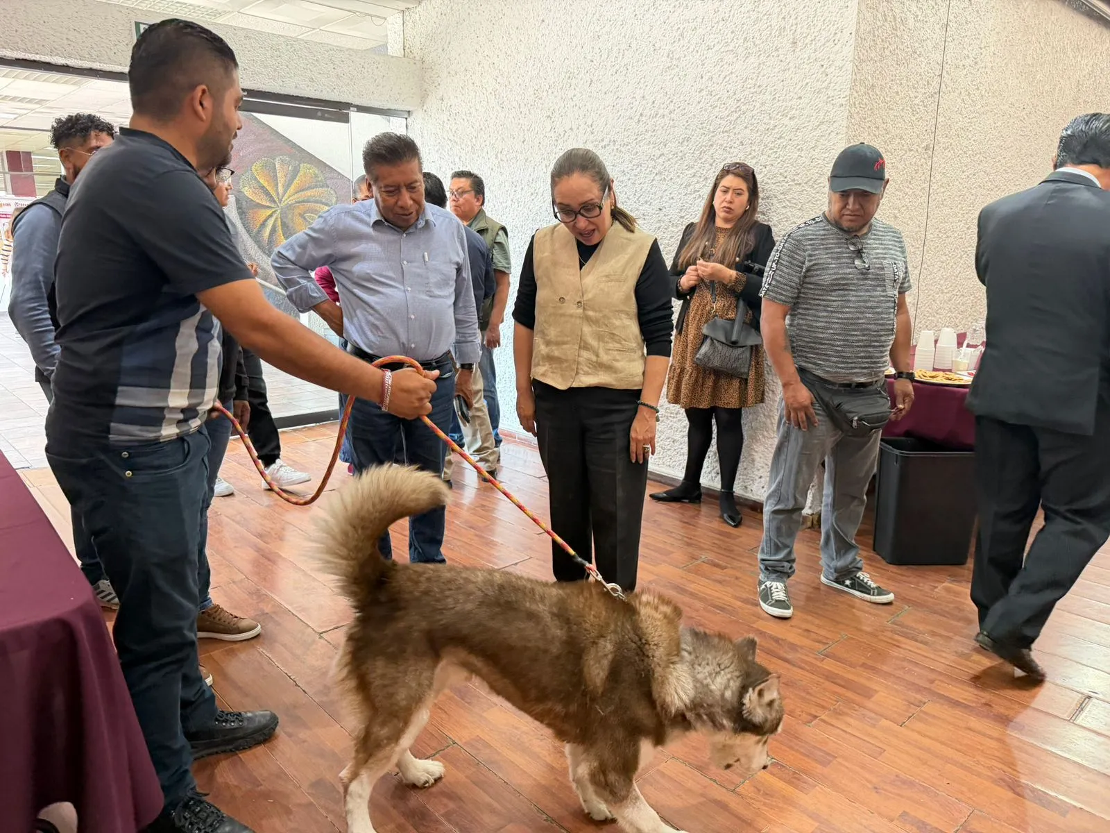Ecatepec activa jornada masiva contra sobrepoblación animal